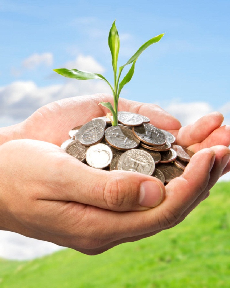 Financial services and loan planning